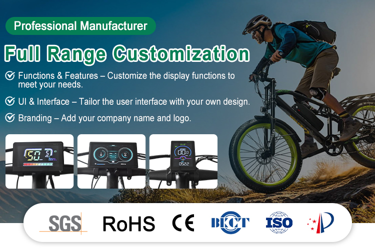 How to Choose the Best Fat Bike Display: A Complete Buying Guide