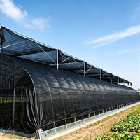 Zwarte HDPE zware kwaliteit UV-bestendige winddichte draagbare opvouwbare duurzame buitenlandbouw schaduwnet voor tomatenteelt rol