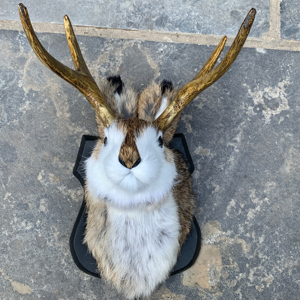 Peluche di Coniglio Cornuto da Appendere a Parete, Jackalope in Vera Pelliccia per Feste, Primo Ornamento Natalizio, Jackalope da Parete per Adulti - Product Image 4