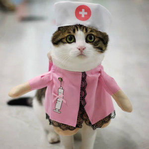 Jxanry Ins Populaire Kleding Voor Huisdieren Hond Grappige Cosplay Kleding Festival Met Honden-En Kattenjas - Product Image 1