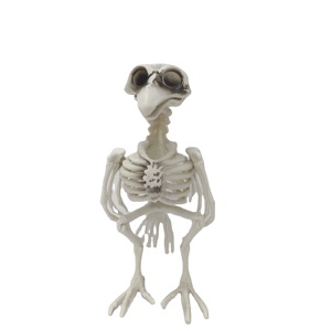 <b>Plastic</b> Manufacture Classic <b>Plastic</b> Toy <b>Animal</b> Skeleton Crow Skeleton Model for Holiday Party Props Halloween Decoration - Product Image 2