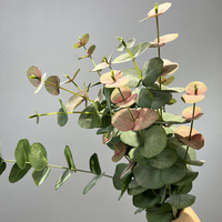 Faux Fleurs Fournitures Real Touch Feuille Branche Artificielle Eucalyptus Tige Verdure Soie Graines Artificielle Eucalyptus 85254