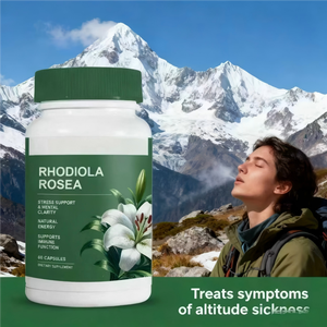 Cápsulas de Rhodiola Rosea 60 Contém para Adultos - Melhora a Imunidade Extratos Vegetais para Suporte à Saúde Adulto - Product Image 4