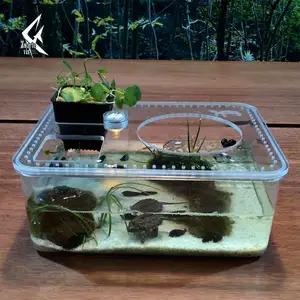正方形のプラスチックタートルタンク爬虫類ペットボックス小さなデスクトップ造園水族館水槽アクアポニックス