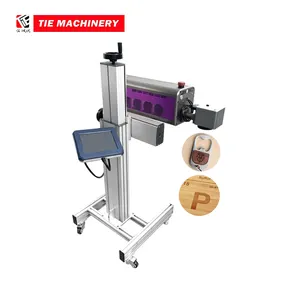 인쇄소 독립형 휴대용 UV CO2 잉크젯 인쇄 소형 레이저 마킹 기계