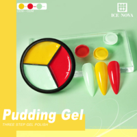 Kit de Vernis à Ongles Gel Solide Couleur ICE NOVA Pudding Gel Marque Privée 15ml Salon d'Art Ongulaire UV Gel Polish Oem