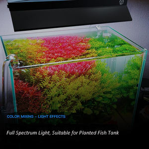 <span class=keywords><strong>Nemo</strong></span> piantato Wrgb App controllo LED acquario luce per acqua dolce 24 "36" acquario con controllo Wifi - Product Image 6