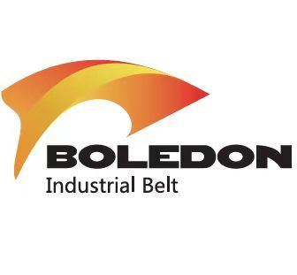 Boledon Transmission  Technology (guangdong) Co., Ltd. logo