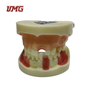 Modelo de Práctica de Implantes Dentales UMG UM-2003 con Encía Suave para Prácticas de Corte, Sutura e Implantes, Certificado CE - Product Image 3