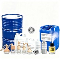 Diffuseur de parfum de luxe pour voiture, à l'huile essentielle de thé blanc, avec pod de parfum