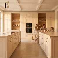 Cuisine moderne blanche minimaliste : îlot central et armoires de cuisine pour projets de construction de maisons complètes