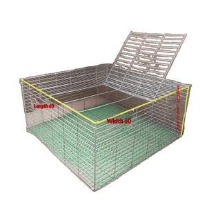 <span class=keywords><strong>Cage</strong></span> d'élevage renforcée et sécurisée pour oiseaux (pigeons, poulets, cailles) à usage domestique, en fil de fer galvanisé, assemblée, <span class=keywords><strong>avec</strong></span> mailles de 1,5 cm - Product Image 5