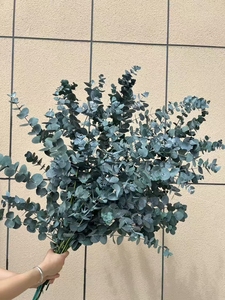Style nordique feuille douce <span class=keywords><strong>guirlande</strong></span> d'<span class=keywords><strong>eucalyptus</strong></span> tiges fleurs séchées plantes préservées multi fourchette pour la décoration intérieure célébration de noël - Product Image 4