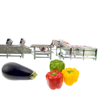Automatische 304 roestvrijstalen ozon fruitbellenwasmachine Industriële bladgroente was- en reinigingsmachine