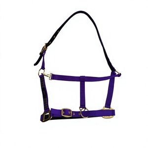 Licou de cheval en Nubuck rembourré à gorge ronde, produits de sport équestre de qualité supérieure, fabricants de colliers de tête pour chevaux - Product Image 3