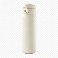 Bouteille d'eau chaude personnalisée de 500 ml fabriquée en Chine, vente en gros à bas prix, tasses en acier inoxydable 316 de haute qualité, gobelet réutilisable pour boissons froides pour les fêtes