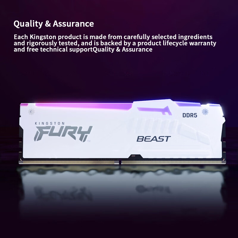 メモリー Kingston FURY BEAST DDR5 16GB (8GBx2)RGB Kingston FURY Beast DDR5 RGB XMP Memory - Kingston Shop