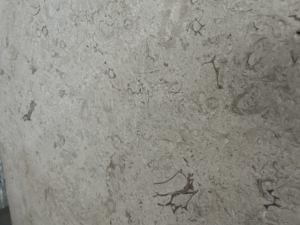 Marbre naturel de calcaire de finition antique beige de Séville de style moderne pour l'application de villa - Product Image 2