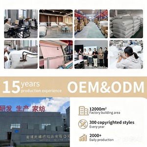 Set di Biancheria da Letto OEM Vintage in Crêpe de Chine a Doppio Strato, Quattro Pezzi, Liscio con Laccetti, 100% Cotone, Set Copripiumino e Lenzuola - Product Image 5