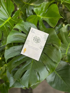 Pièges collants jetables en forme de feuille de Monstera, jaunes et noirs, solides, imperméables, puissants pour le contrôle des ravageurs des plantes d'intérieur, 12/24/48 pièces - Product Image 2