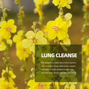 Té Herbal para el Apoyo Pulmonar y Respiratorio |   18 Hierbas Naturales: Morera, Nogal, Madreselva |   Comodidad Respiratoria para Fumadores y Residentes de la Ciudad - Product Image 2