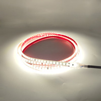 Bande lumineuse LED blanche chaude en plastique IP68 AC220V, vente chaude, décoration extérieure pour jardin, hôtel, piscine, cour, paysage