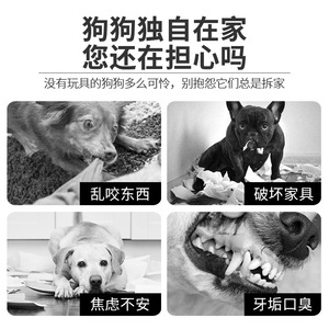 Sınır Ötesi Çok Satan TPR Evcil Hayvan Kedi Köpek Diş Temizleme Çiğneme Çubuğu Küçük ve Büyük Köpekler İçin Köpek Oyuncağı - Product Image 3