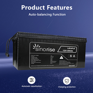 Batteries LiFePO4 Lithium-Ion en Promotion 12V 12.8V 24V 100Ah 200Ah 300Ah pour Camping-Car - Product Image 2