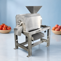 Hoge capaciteit tomaten-guave-sap-maakmachine, mango-ontpitter en -pulpmachine voor fruitverwerkingsbedrijven, 380V motor, hoge productiviteit