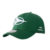 Casquette de baseball brodée 3D personnalisée, verte, à fermeture snapback, 6 panneaux, en sergé de coton, unisexe, toutes saisons, 58-60 cm, pour les fans de l'équipe