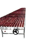 Grand banc mobile hydroponique argenté avec irrigation intégrée, lit de pépinière galvanisé pour semis en serre automatisée