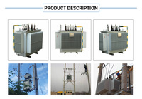Transformateurs de distribution régulateurs de tension 33 kV à commutateur de dérivation sous charge pour la rénovation des réseaux ruraux