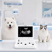 Système de diagnostic échographique Doppler couleur vétérinaire JL-VPD3, scanner de classe II pour chiens et chats