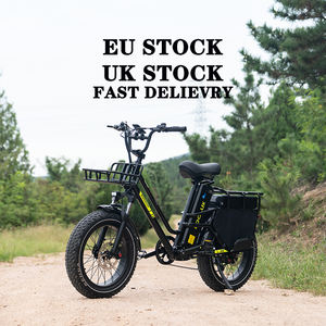 Bicicleta Eléctrica KOOLUX X8 en Stock en la UE/Reino Unido, 250W para la UE, 750W para la UE, Motor de 48V 64Ah, Batería de Litio Doble, Portaequipajes Trasero, 25KM/H, Bicicleta Eléctrica Urbana - Product Image 2