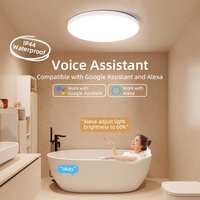 Dimmable Smart Home Salon Rond Téléphone Portable Musique RVB Tuya Wifi Smart Led Plafonnier Salon RGB Plafonnier
