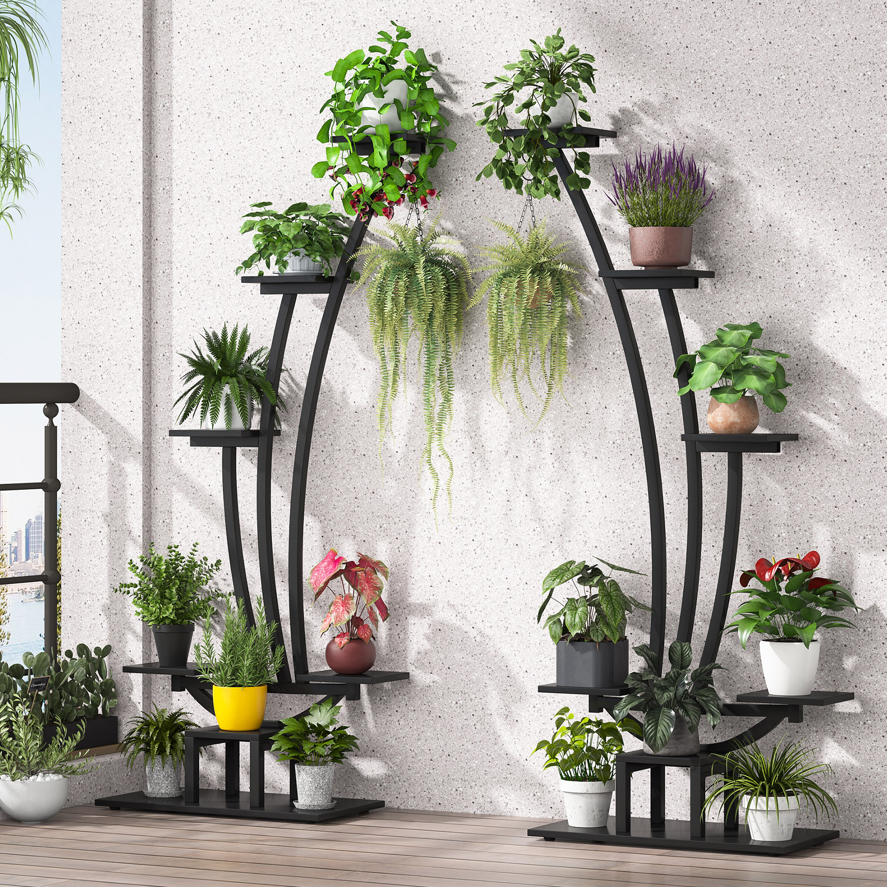bonsai zürich Tobira Bonsai – Pflegefreier Klebsame Bonsai main image 1