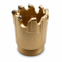 Foret de forage PDC 93mm 112mm 132mm 171mm pour le forage minier et l'exploration géologique