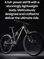 Vélo de montagne électrique Amflow PL Carbon : batterie 800Wh, structure en fibre de carbone, conduite tout-terrain et longue portée