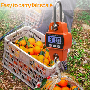 मिनी पोर्टेबल डिजिटल क्रेन वजन पैमाने फांसी क्रेन पैमाने भारी ड्यूटी घर किसानों बाजार 300kg इलेक्ट्रॉनिक क्रेन पैमाने - Product Image 2