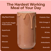 LIFEWORTH Support d'entraînement Protine Shake Chocolat Saveur Mass Weight Gainer Protein Powder