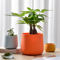 Penjualan terlaris Rumah & taman Pot tanaman bunga silinder silikon warna-warni Pot bunga silikon