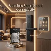 Módulo Bluetooth de Alta Velocidad Holyiot de Última Generación para una Transferencia de Datos Rápida y Confiable, Módulo NRF54L15