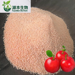 Meilleures ventes, haute qualité et sain. Extrait de poudre de <span class=keywords><strong>cerise</strong></span> d'Inde occidentale. Forme granulaire - Product Image 2