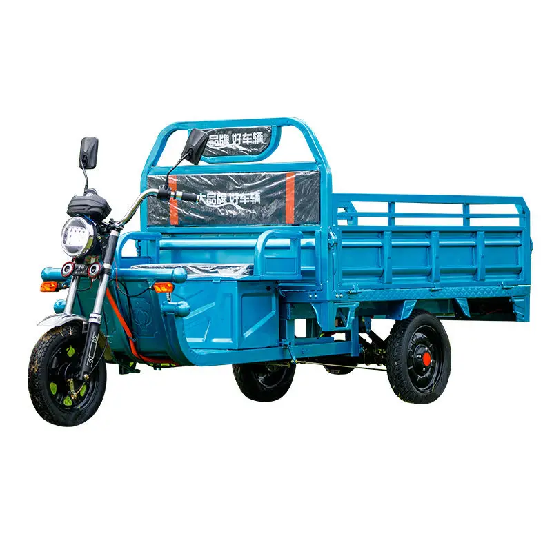 ผู้ค้าส่ง 1000W ผู้ใหญ่รถสามล้ออเนกประสงค์จักรยานไฟฟ้ารถสามล้อบรรทุกสินค้าไฟฟ้า Triciclo Electrico