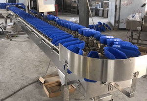 Automatic Small Fish & <b>Fruit</b> Weight Sorter <b>Machine</b> with PLC 304 Stainless Steel for <b>Vegetables</b> and <b>Fruit</b> <b>Processing</b> - Product Image 2