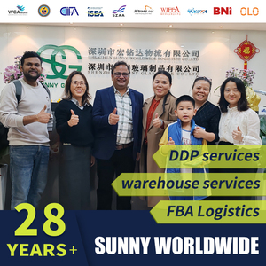Entreprise d'expédition de conteneurs DDP, service d'expédition LCL FCL, tarifs plus bas de Chine vers l'Équateur, la Jamaïque, les Philippines, le Vietnam - Product Image 2