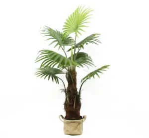 2024 Toque Real Excelente Artificial Plante Fan Palm bonsai stand vendas quentes tamanho diferente Plantas Decorativas