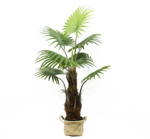 Palma artificiale Nordic Style Real Touch con supporto, bonsai, 130 cm/90 cm, 7 foglie verdi, ecologica, durata 10 anni - Product Image 2