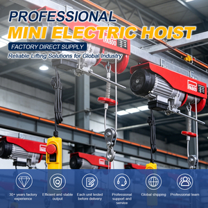 <span class=keywords><strong>Mini</strong></span> Grúa Eléctrica Toyo Modelo Económico, Motor de Elevación de 50 Kg Pa250, <span class=keywords><strong>Mini</strong></span> Cabrestante Eléctrico con Cable de Acero - Product Image 3