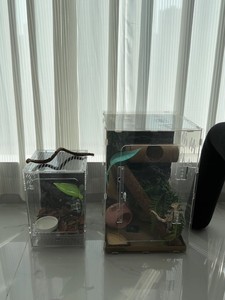 3mm PC Transparente Reptilien-<span class=keywords><strong>Terrarium</strong></span> – Belüfteter Haustierkäfig für Amphibien (S/L) - Product Image 5